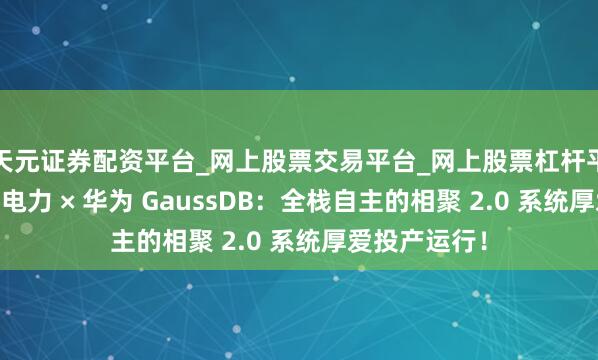 天元证券配资平台_网上股票交易平台_网上股票杠杆平台 国网陕西电力 × 华为 GaussDB：全栈自主的相聚 2.0 系统厚爱投产运行！